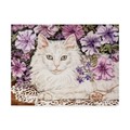 Trademark Fine Art Jan Benz 'Lilly White Cat' Canvas Art, 18x24 ALI36344-C1824GG